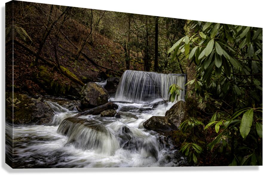 Table Falls Canvas Print