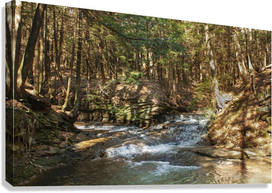Watsons Run Canvas Print