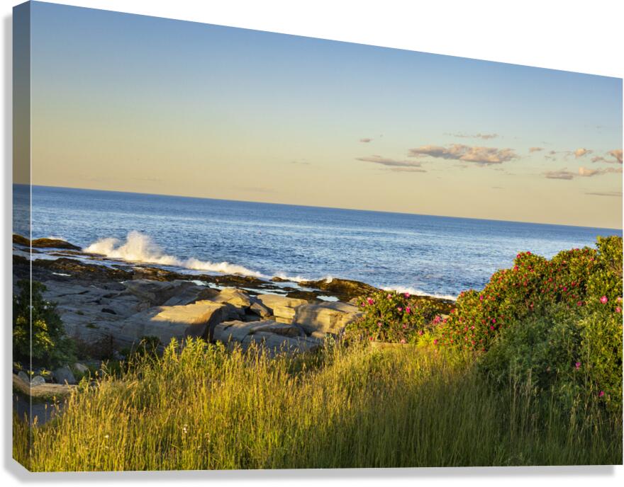 Cape Elizabeth ME Shoreline  Canvas Print