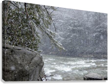 Snowy Day on The Yough  Canvas Print