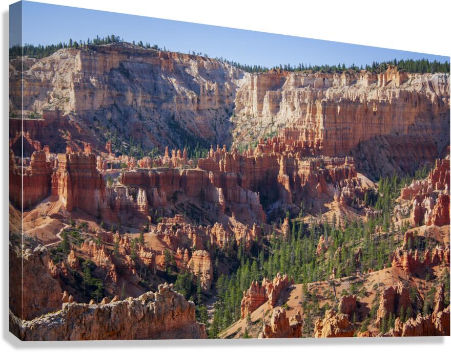 Bryce Canyon Canvas Print