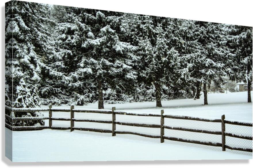 Winter Snow Canvas Print