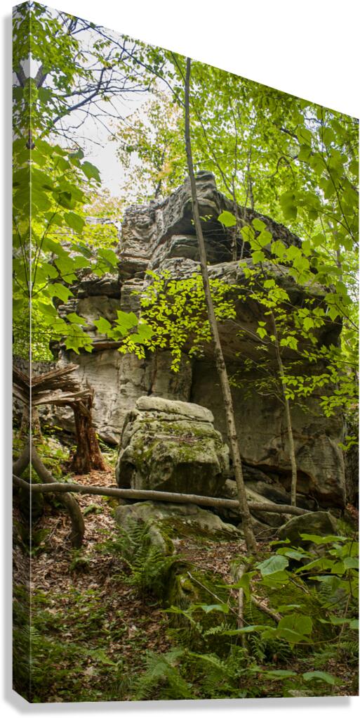 Lookout Rock  Canvas Print