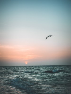 Sunset2