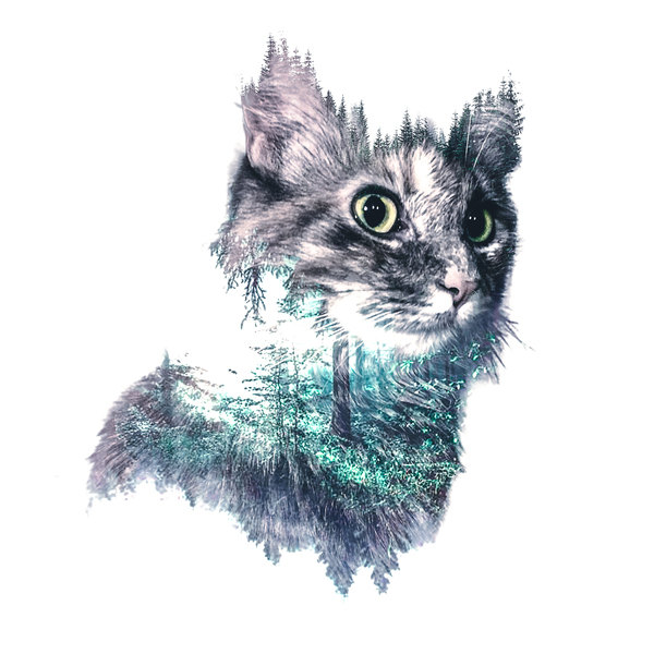 Alabama Print