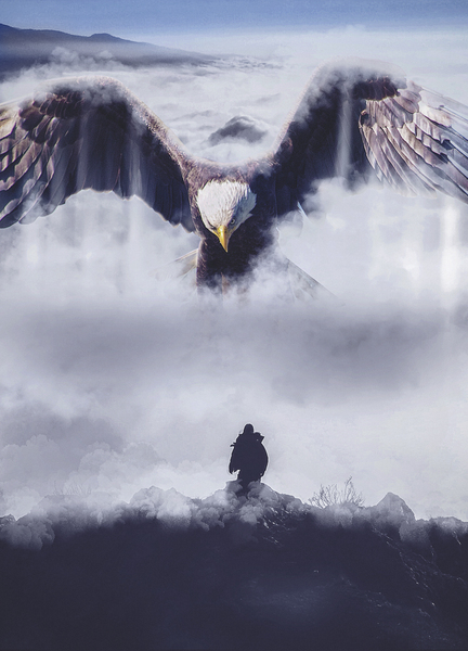 Eagle  Print