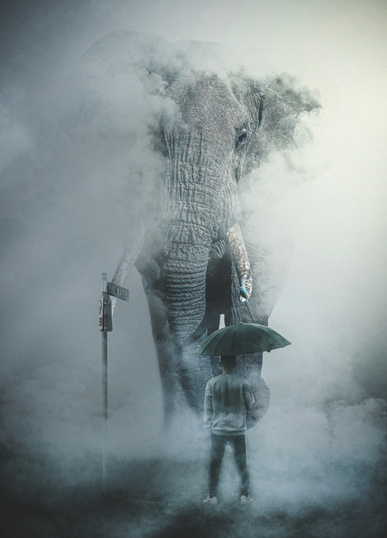 Elephant Print