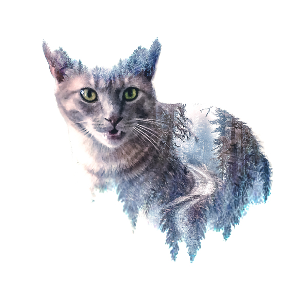 Felix  Print
