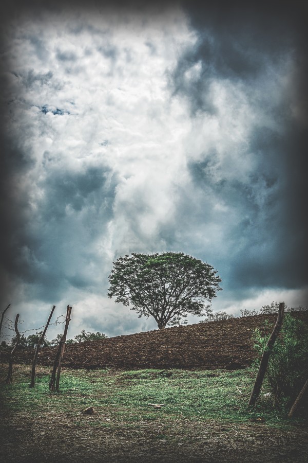 Hope Print