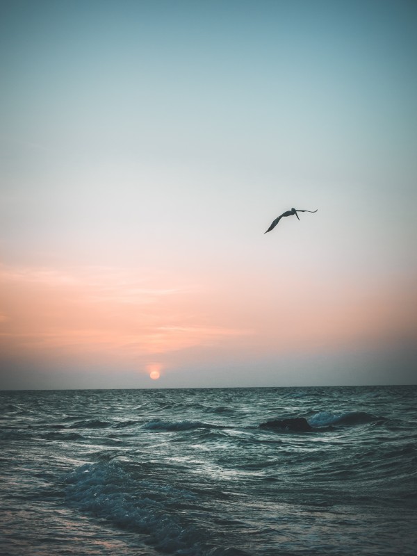 Sunset2 Print