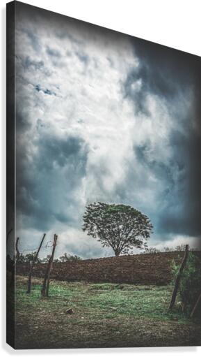 Hope Canvas Print