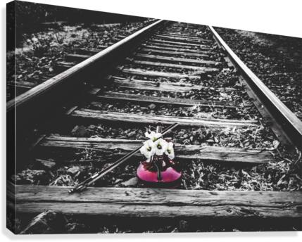Violin Canvas Print