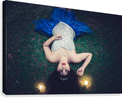 Dreamy Canvas Print