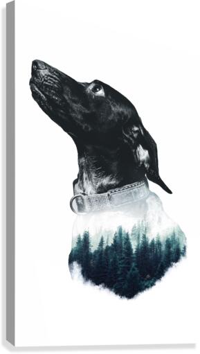 Fredoom Canvas Print