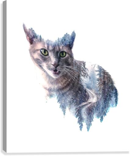 Felix  Canvas Print