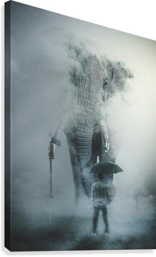 Elephant Canvas Print