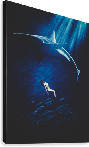 Shark Canvas Print