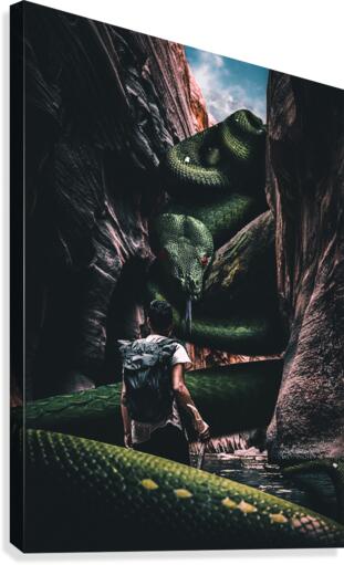 Snake Canvas Print
