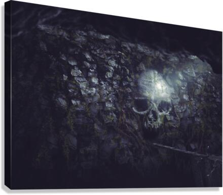 Skull Cavern Canvas Print