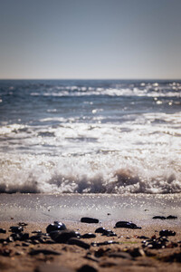 Rolling with the Tides 