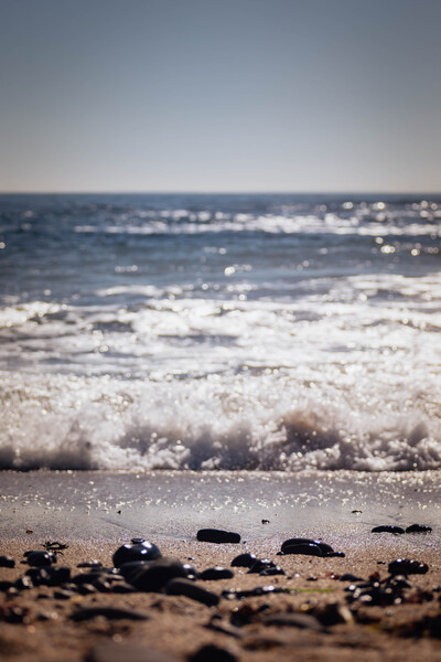 Rolling with the Tides  Print