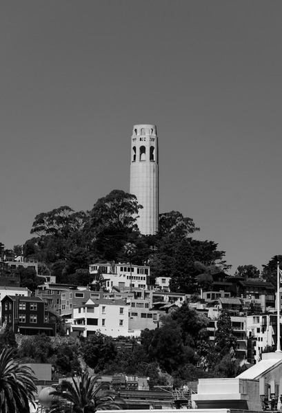 Coit Tower Print