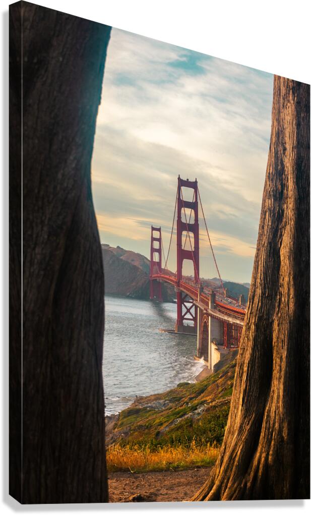 Through Natures Frame Canvas Print