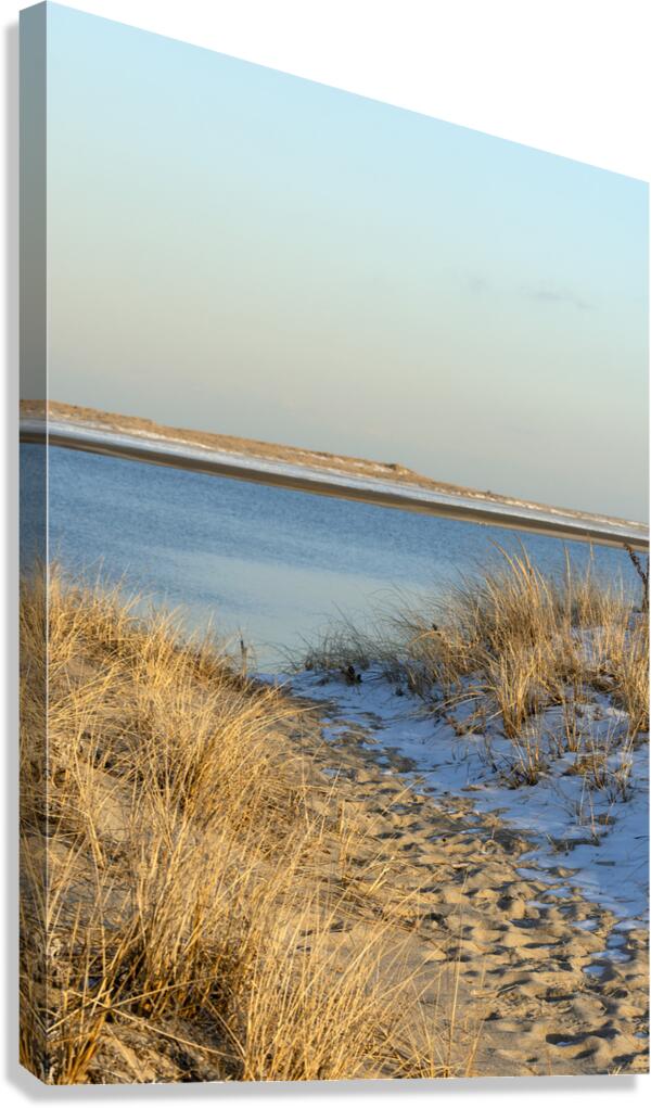 Winters Path Canvas Print