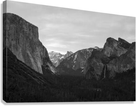Perspective  Canvas Print