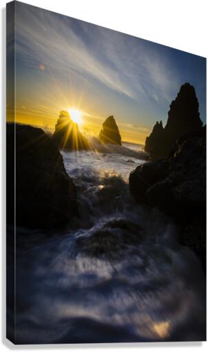 New Beginnings  Canvas Print