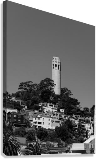 Coit Tower Canvas Print