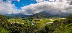 Panorama of Hanalei Valley on Kauai