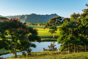 Striking landscape of garden island of Kauai