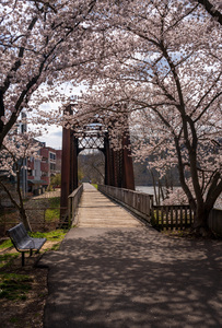 Steel girder bridge carries the bike walking trail over Deckers 
