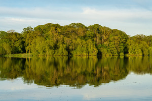 View across the Mere to a reflection of distant trees in Ellesme