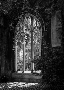 Creeping plants over the empty windows of St Dunstan church