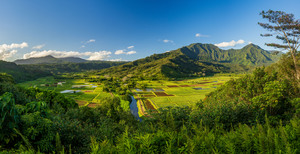 Panoramic view over the Hanalei national wildlife refuge Kauai