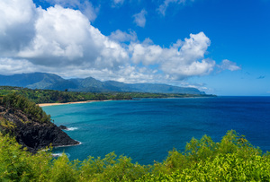 Coastline to Princeville from Kilauea Lighthouse Kauai