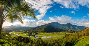 Hanalei valley from Princeville overlook Kauai