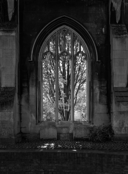 Monochrome view of the empty windows of St Dunstan church  Print