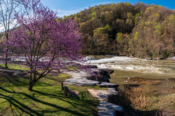 Bench view of Valley Falls on a bright spring morning Print