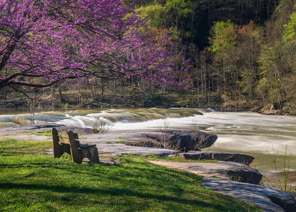 Wooden bench view of Valley Falls on spring morning Print