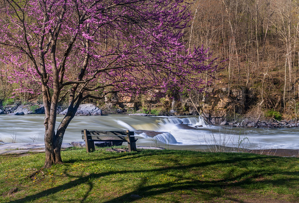 Wooden bench view of Valley Falls on spring morning Print