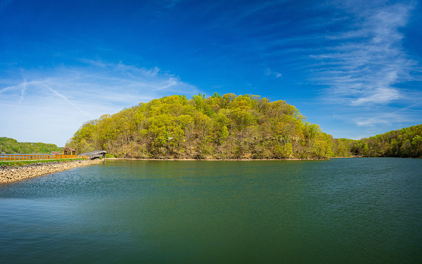 Reflection of spring leaves in Cheat Lake Park near Morgantown Print