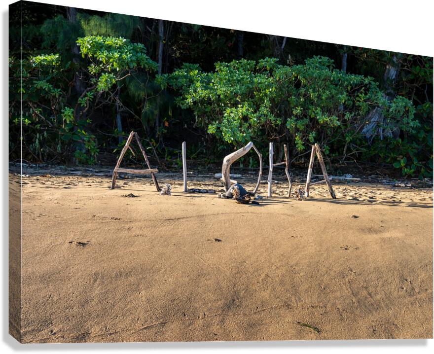 Aloha from Kauai: A driftwood greeting spells out a warm welcome Canvas Print