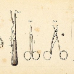 Circumcision instruments