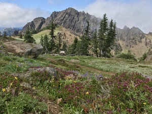 Olympic National Park 