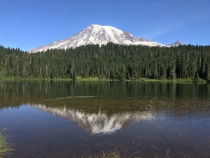 Reflections Mount Rainier