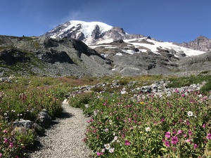 Mount Rainier National Park 