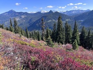 North Cascades
